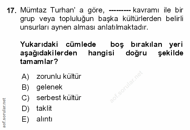 Soru 17