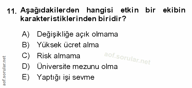 Soru 11