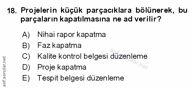 Soru 18