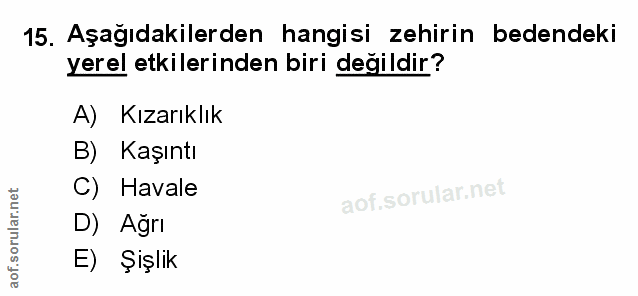 Soru 15
