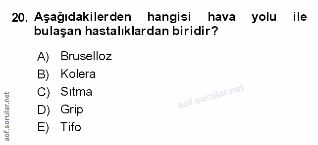 Soru 20