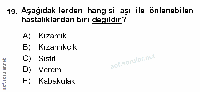 Soru 19