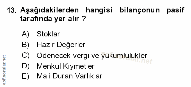 Soru 13