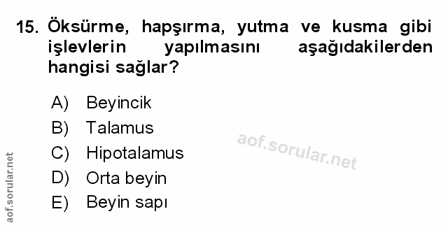 Soru 15