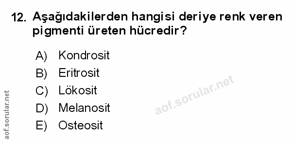 Soru 12