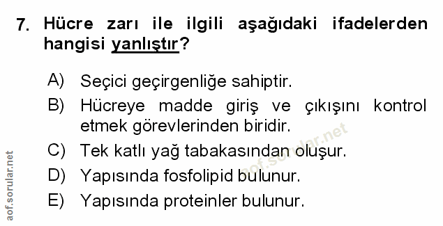 Soru 7