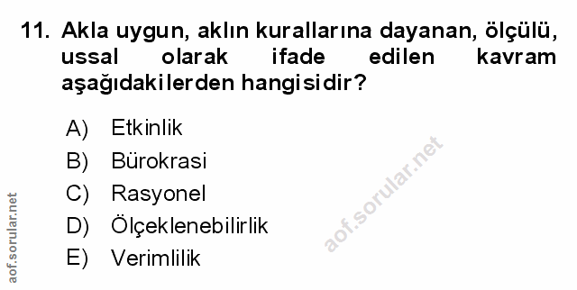 Soru 11