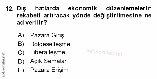 Soru 12