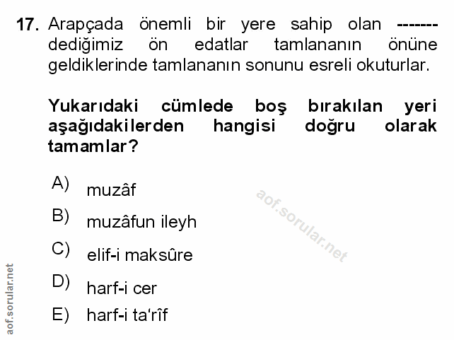Soru 17