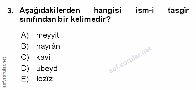 Soru 3