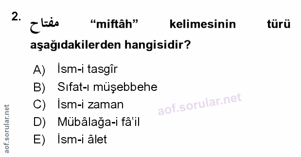 Soru 2