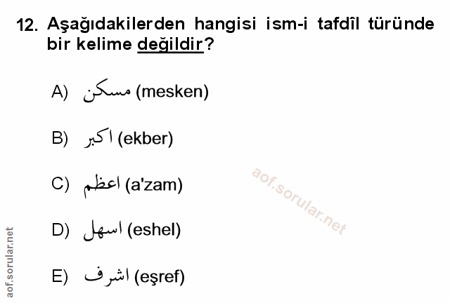 Soru 12