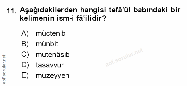 Soru 11