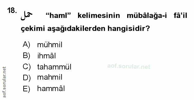 Soru 18