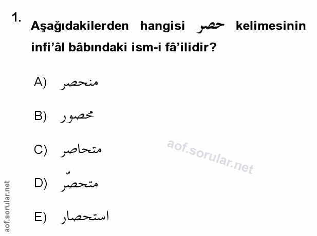 Soru 1