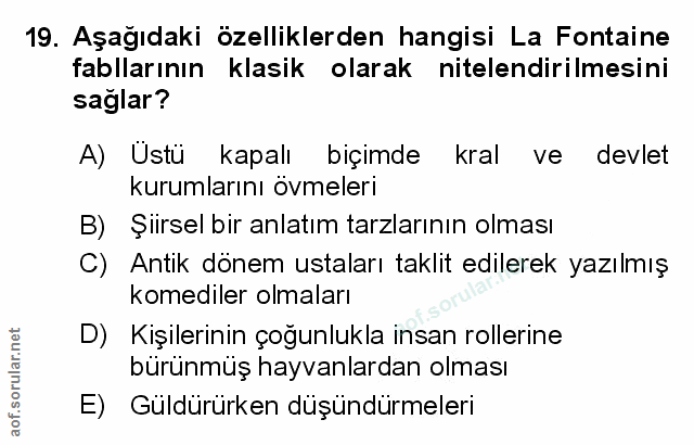 Soru 19