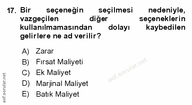 Soru 17