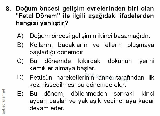 Soru 8