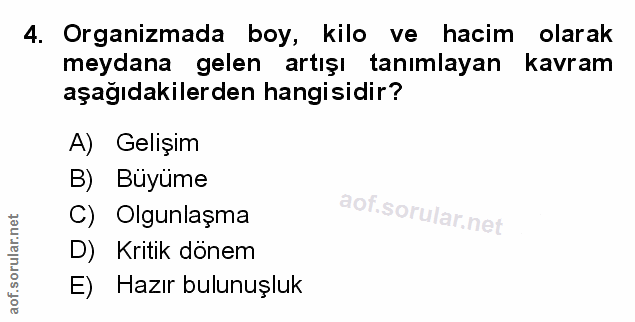 Soru 4