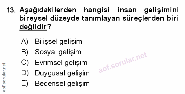 Soru 13