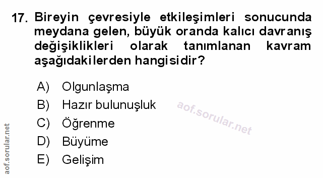 Soru 17
