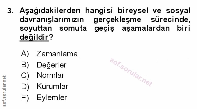 Soru 3