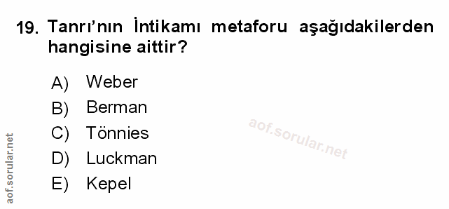 Soru 19