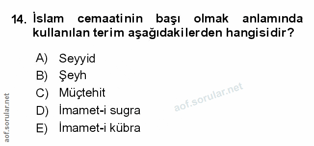 Soru 14