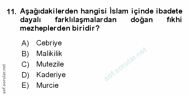 Soru 11
