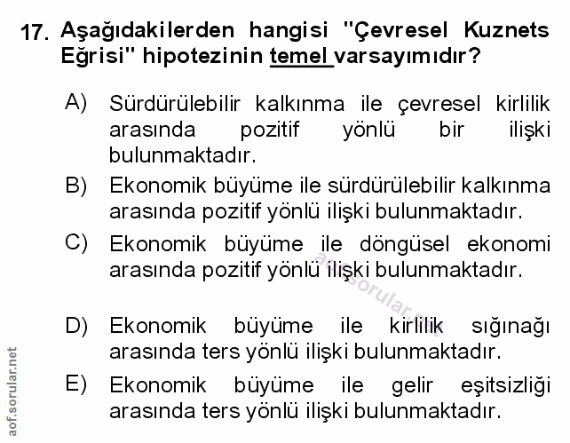 Soru 17