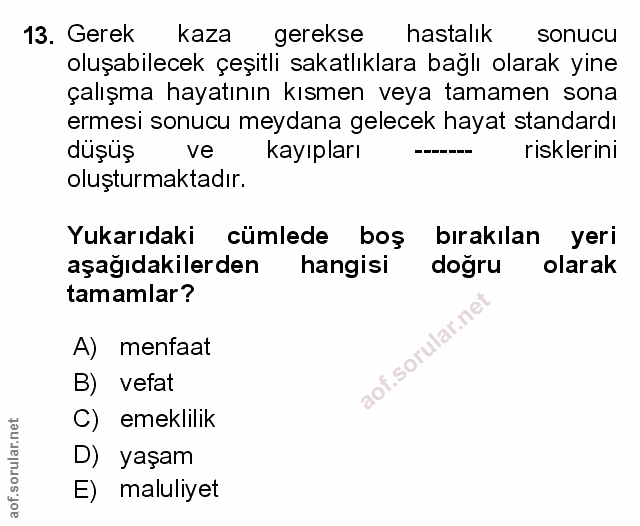 Soru 13