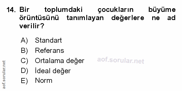 Soru 14