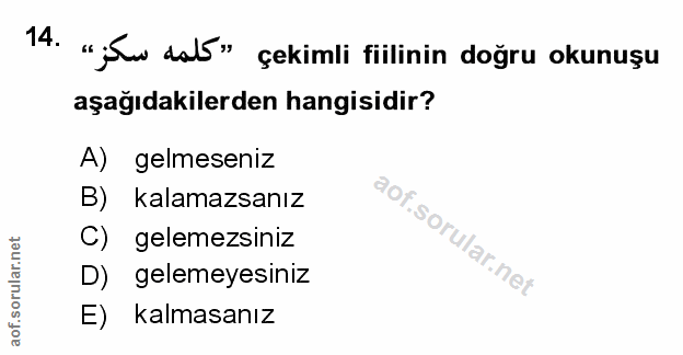 Soru 14
