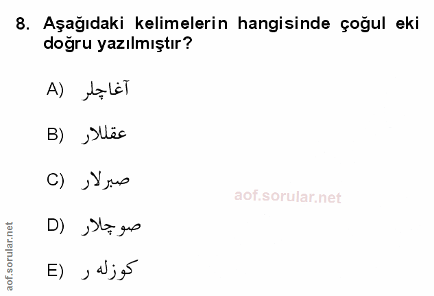 Soru 8