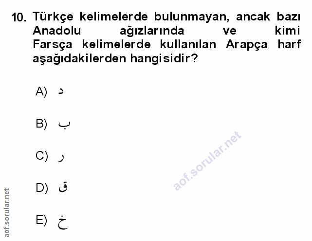 Soru 10