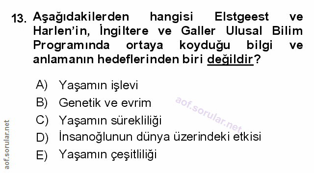 Soru 13