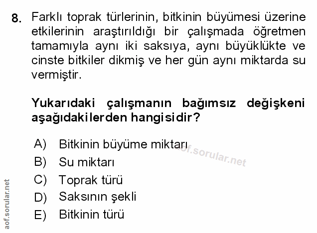 Soru 8