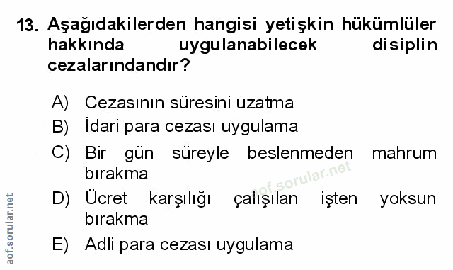 Soru 13