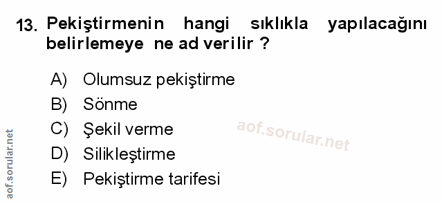 Soru 13