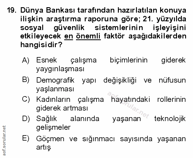 Soru 19