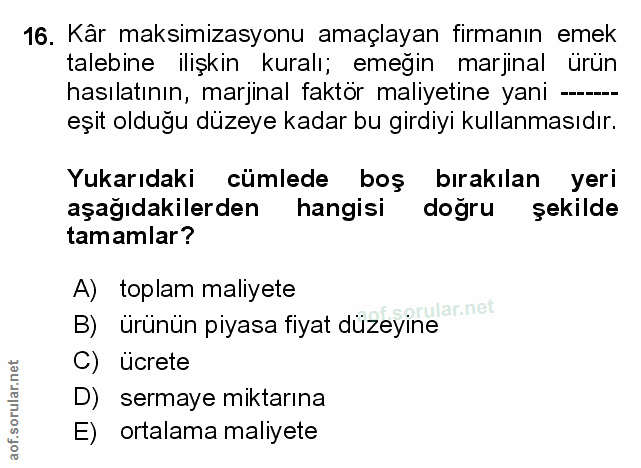 Soru 16