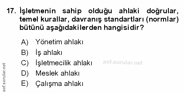 Soru 17