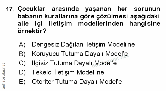 Soru 17