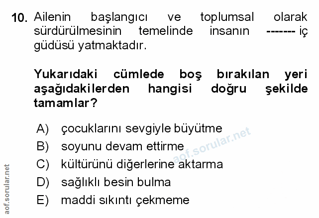 Soru 10