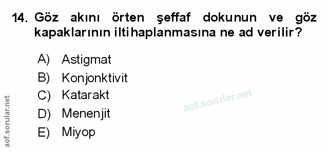 Soru 14