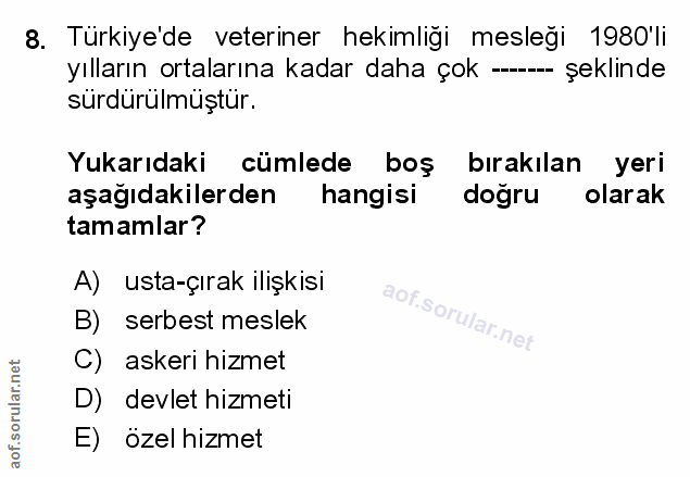 Soru 8