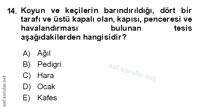 Soru 14