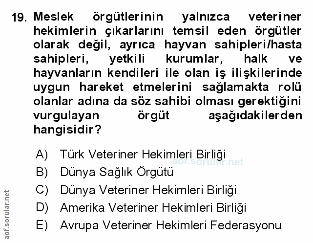 Soru 19