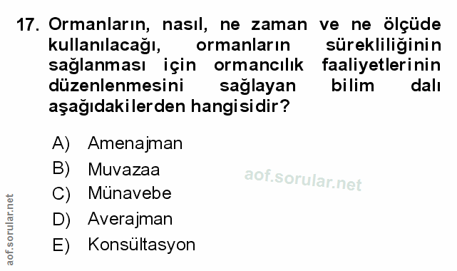 Soru 17