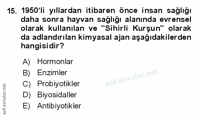 Soru 15